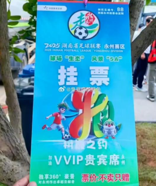 制在, 联赛 制在, 联赛